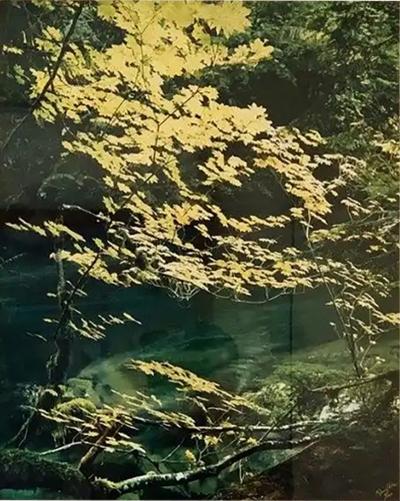 James Randklev Original Photograph by James Randklev Duck River WA