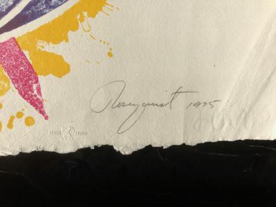 James Rosenquist Echo Pale From Mirrors of the Mind Portfolio 1975