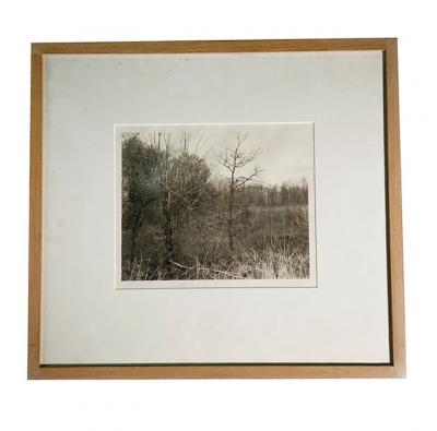 Jan Grover Jan Grover Photograph