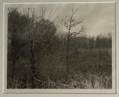 Jan Grover Jan Grover Photograph
