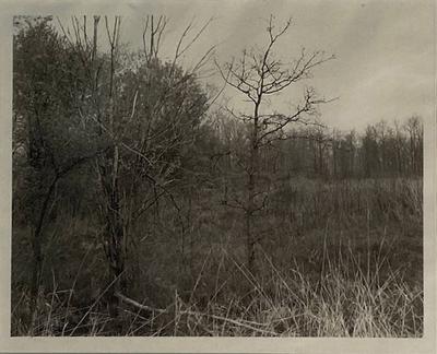 Jan Grover Jan Grover Photograph