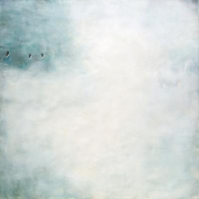 Janise Yntema Calabria