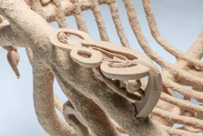 Janne Schimmel Goo Lounge Chair Wooden Chair with Ornamental Features Schimmel Schweikle