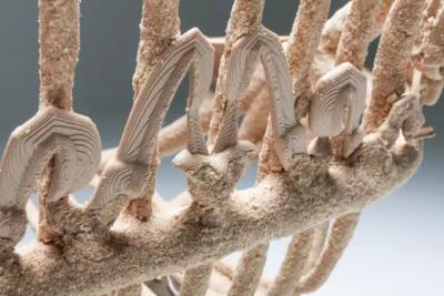 Janne Schimmel Goo Lounge Chair Wooden Chair with Ornamental Features Schimmel Schweikle