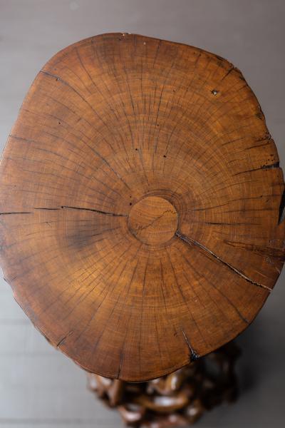 Japanese Antique Tall Root Stand