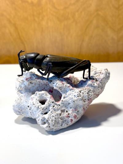 Japanese Articulate Bronze Grasshopper Jizai Okimono Myochin Linage Signed