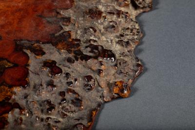 Japanese Burl Slab as an offering platform