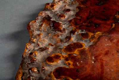 Japanese Burl Slab as an offering platform