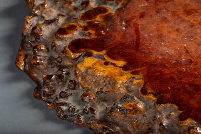 Japanese Burl Slab as an offering platform
