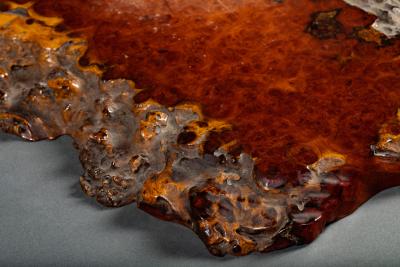 Japanese Burl Slab as an offering platform