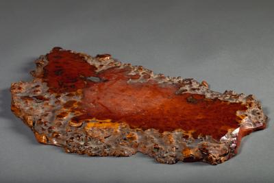 Japanese Burl Slab as an offering platform
