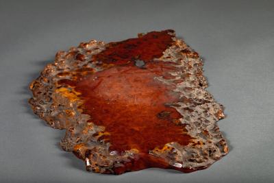 Japanese Burl Slab as an offering platform