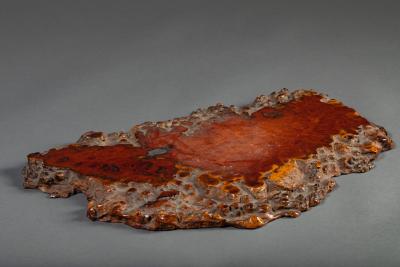 Japanese Burl Slab as an offering platform