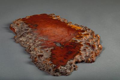 Japanese Burl Slab as an offering platform