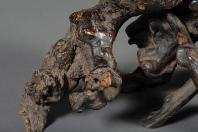 Japanese Burl Wood Stand