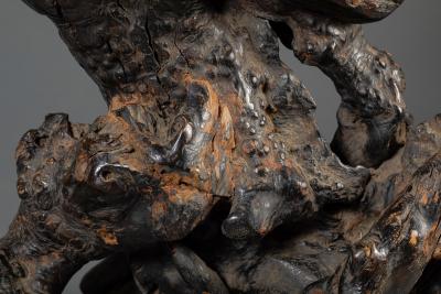 Japanese Burl Wood Stand