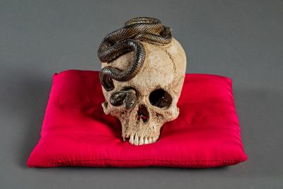 Japanese Ceramic Form of a Human Skull with a Snake