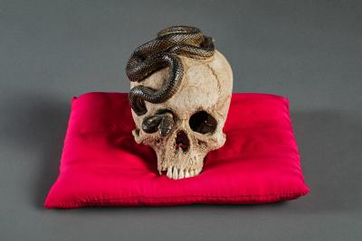Japanese Ceramic Form of a Human Skull with a Snake
