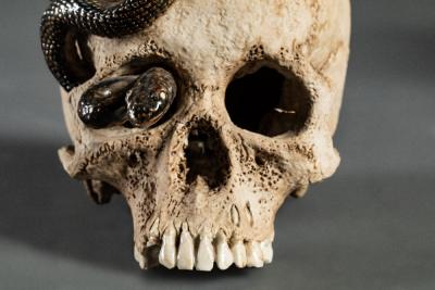 Japanese Ceramic Form of a Human Skull with a Snake