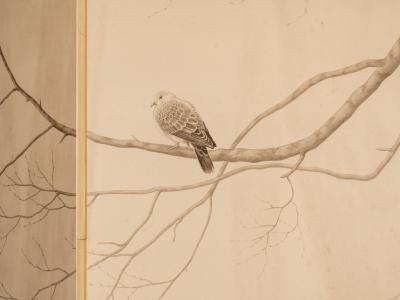 Japanese Four Panel Screen Lone Dove