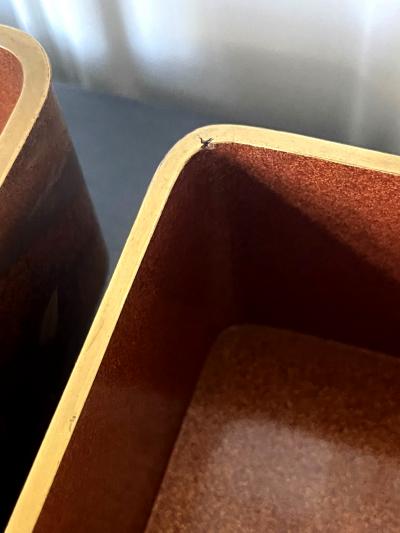 Japanese Lacquer Maki e Scroll Box Fubako by Kansonsai Edo Period