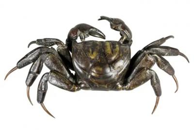 Japanese Meiji Articulated Bronze Crab