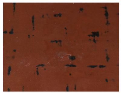 Japanese Negoro Lacquer Coffee Table