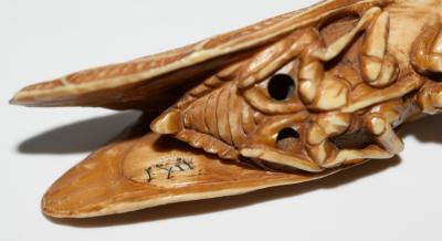 Japanese Netsuke of Cicada Signed