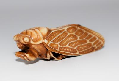 Japanese Netsuke of Cicada Signed