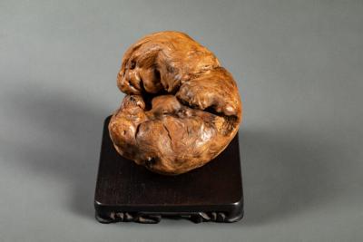 Japanese Root wood Sculpture