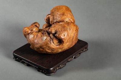 Japanese Root wood Sculpture