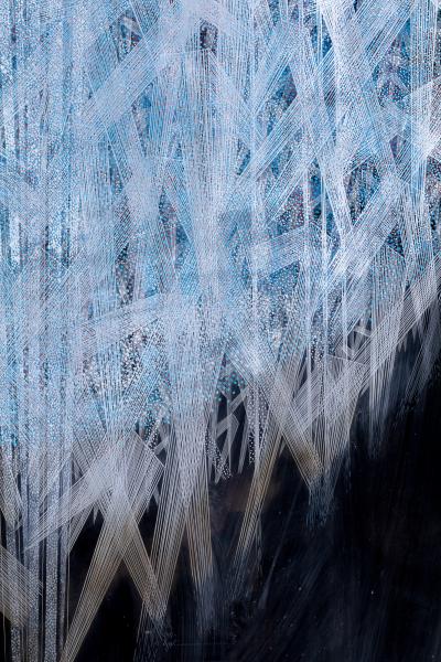 Japanese Single Wood Panel Lacquered Wild Grasses