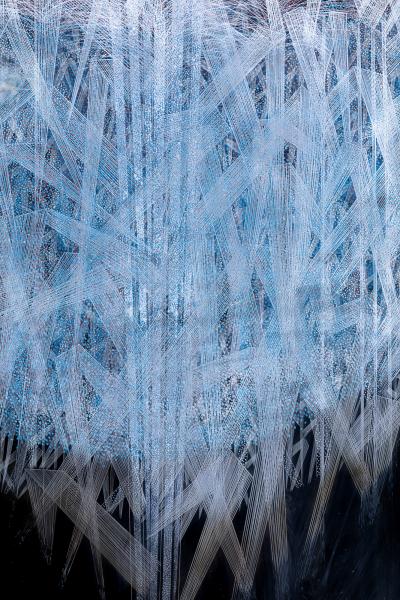 Japanese Single Wood Panel Lacquered Wild Grasses