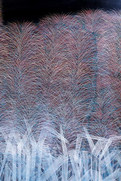 Japanese Single Wood Panel Lacquered Wild Grasses