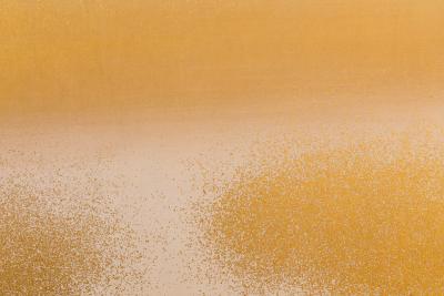 Japanese Six Panel Screen Clouds of Golden Mist