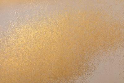 Japanese Six Panel Screen Clouds of Golden Mist