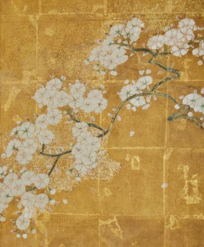 Japanese Six Panel Screen Falling Cherry Blossoms