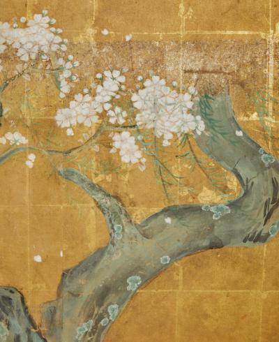 Japanese Six Panel Screen Falling Cherry Blossoms