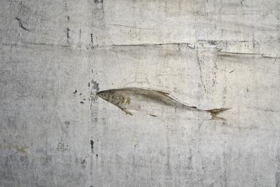 Japanese Six Panel Screen Maple Over Water