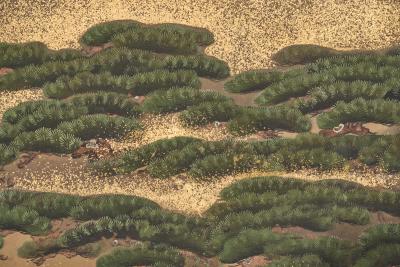 Japanese Six Panel Screen Mount Fuji and Pine