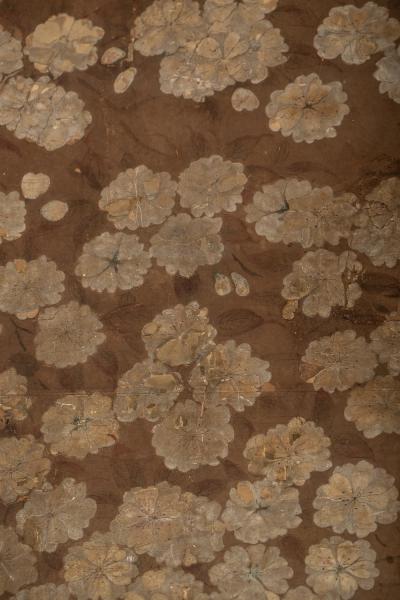 Japanese Two Panel Screen Cherry Blossoms Viewing Party