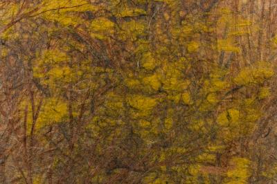 Japanese Two Panel Screen Late Autumn Forest Rare Obara Paper Art Screen