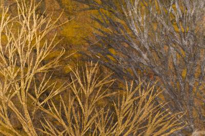 Japanese Two Panel Screen Late Autumn Forest Rare Obara Paper Art Screen