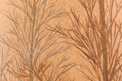 Japanese Two Panel Screen Late Autumn Forest Rare Obara Paper Art Screen