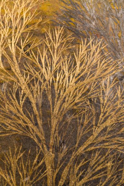 Japanese Two Panel Screen Late Autumn Forest Rare Obara Paper Art Screen