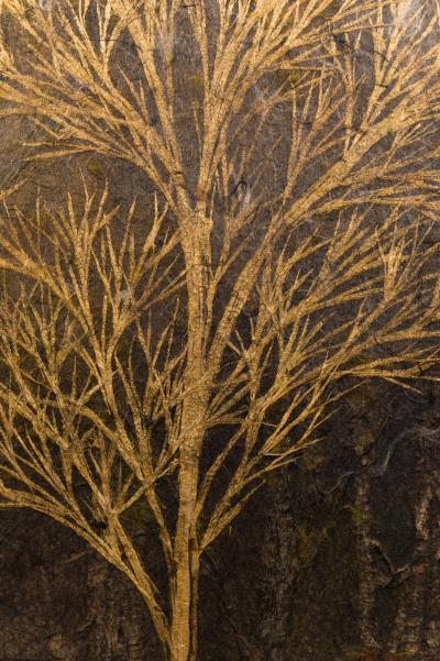 Japanese Two Panel Screen Late Autumn Forest Rare Obara Paper Art Screen