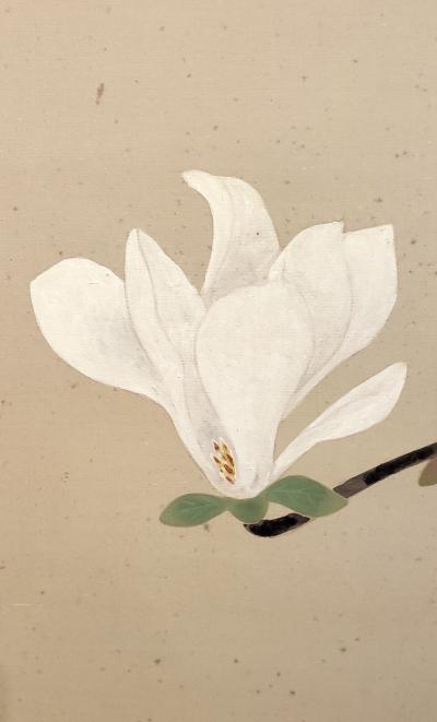 Japanese Two Panel Screen Pink and White Magnolias In Early Bloom