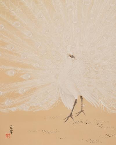 Japanese Two Panel Screen White Peafowl in Courtship Display