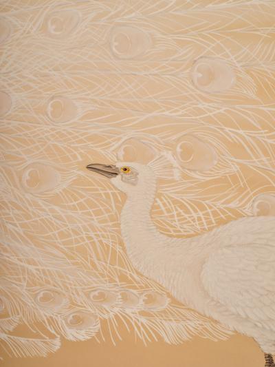 Japanese Two Panel Screen White Peafowl in Courtship Display