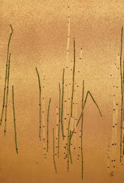 Japanese Two Panel Screen Young Bamboo